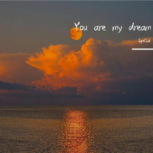 2022年一级A片免费观看
